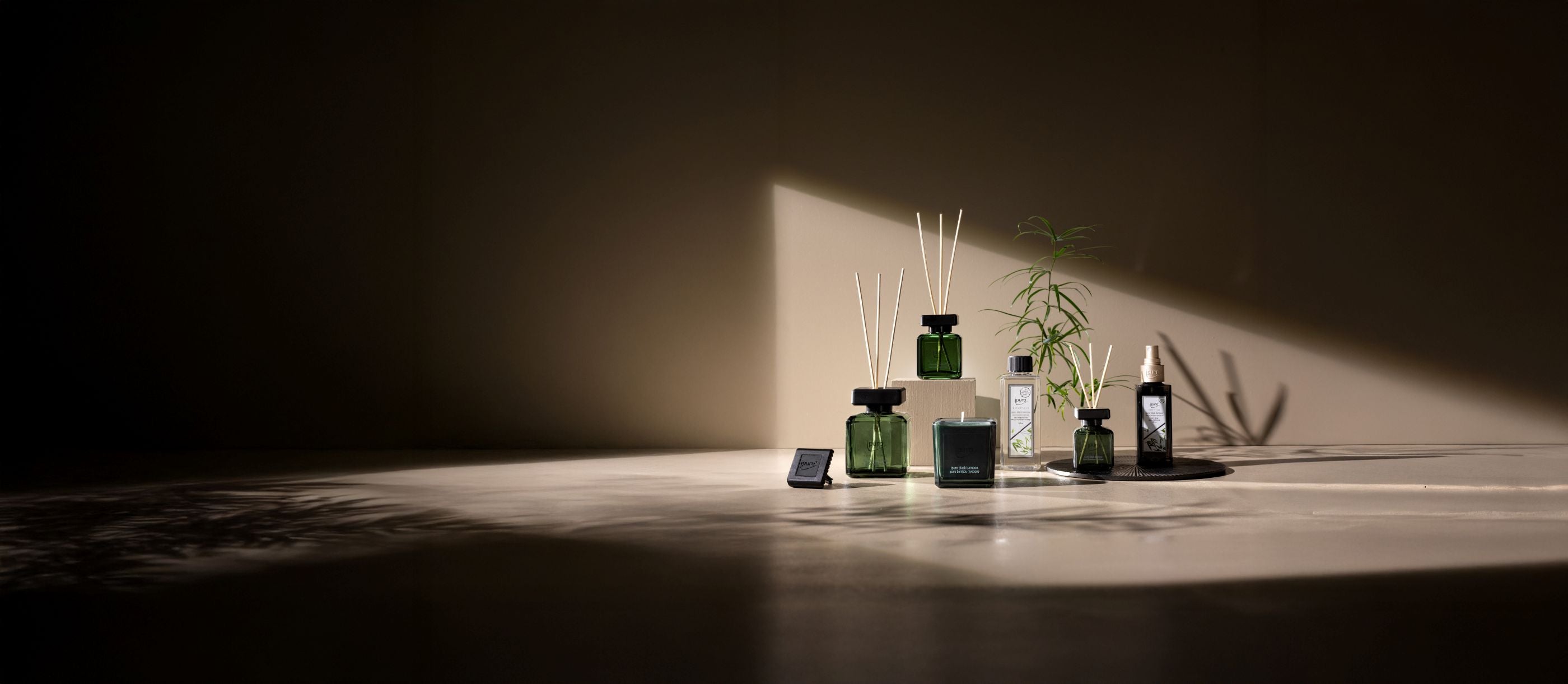 Grüne Glasflaschen, Schilfrohrdiffusoren und eine Topfpflanze sind auf einer glatten Fläche angeordnet und werden von einem Lichtstrahl in einer ansonsten schwach beleuchteten, minimalistischen Umgebung beleuchtet. Schatten werden auf den Boden geworfen.