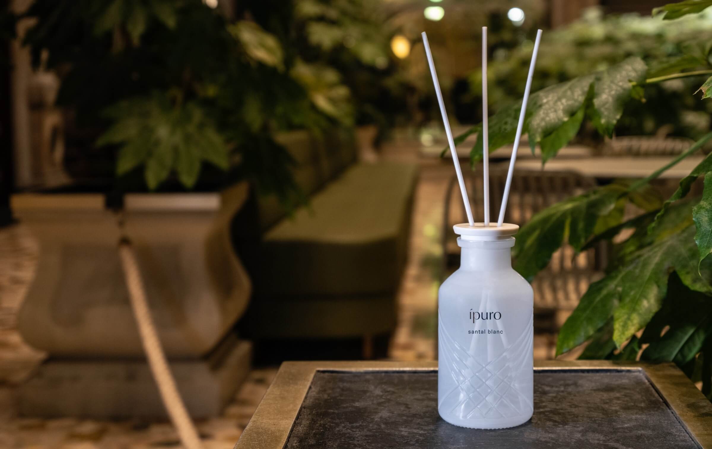 Ein weißer Glasduftzerstäuber mit der Aufschrift ipuro und vier Schilfrohrstäbchen steht auf einem Tisch, umgeben von üppigen Grünpflanzen in einem sanft beleuchteten Innenraum.