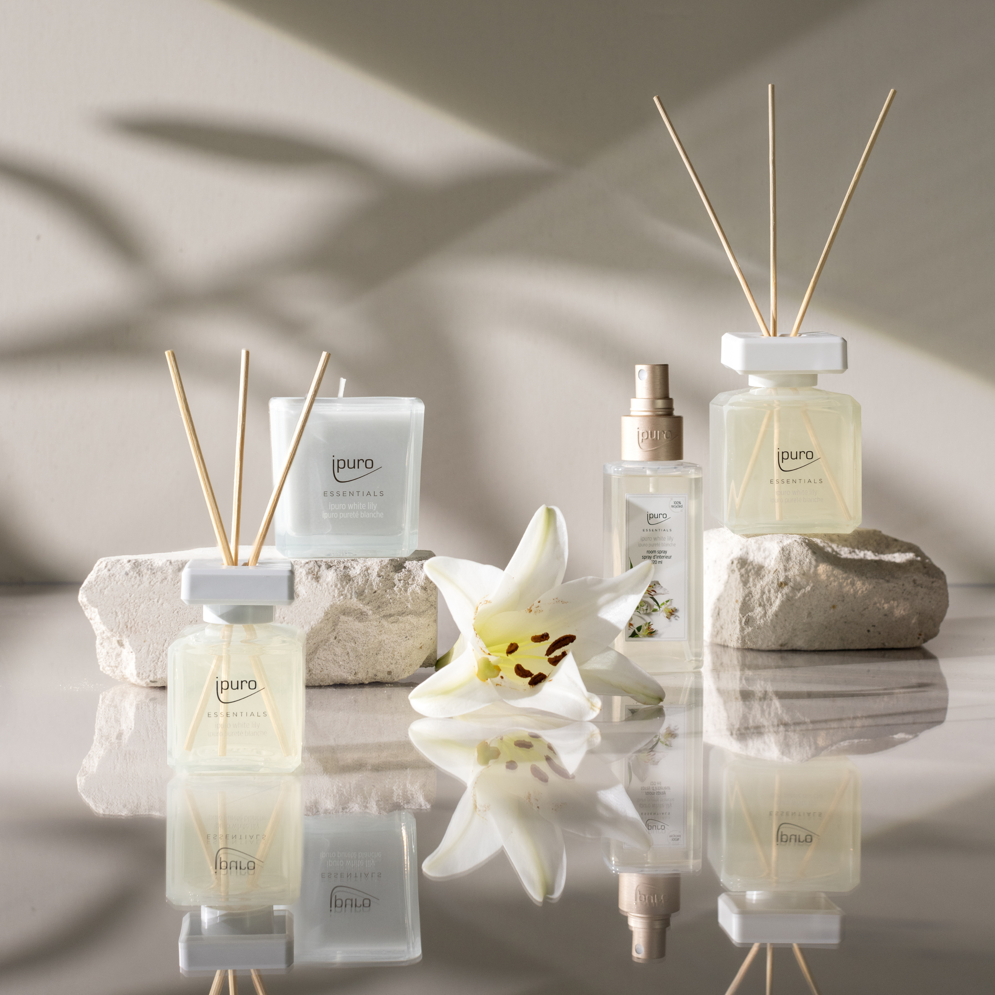 Die ESSENTIALS ipuro white lily Duftkerze von ipuro wird mit einer Sprühflasche auf weißen Steinblöcken, einer weißen Blüte und sanften Schatten im Hintergrund für ein blumiges Dufterlebnis präsentiert.