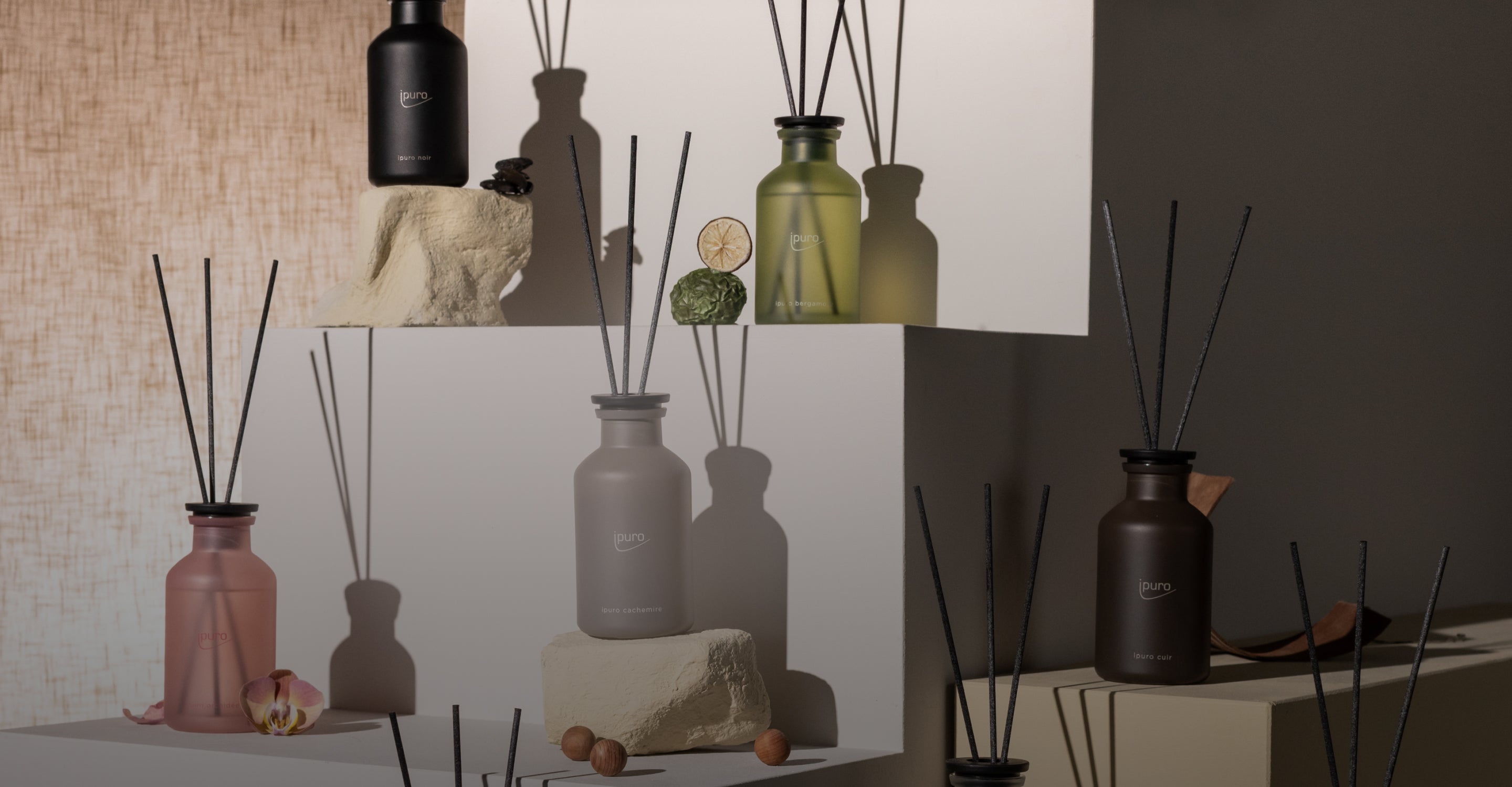 Arrangement aus fünf farbigen Schilfrohrdiffusoren auf weißen geometrischen Blöcken, umgeben von dekorativen Elementen wie Trockenfrüchten, Nüssen, einer Muschel und Blütenblättern, mit einer Mischung aus natürlichem und weichem Licht.