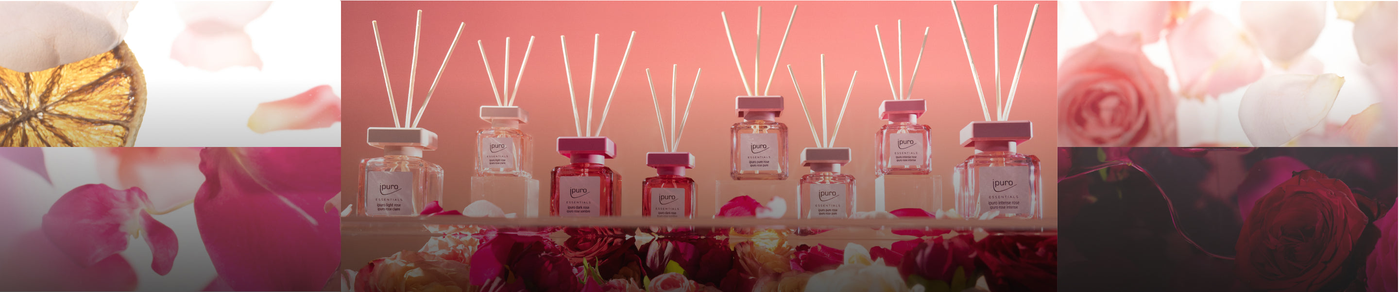 Eine Reihe von Glasdiffusoren mit weißen Stäbchen, umgeben von roten und rosa Rosen, vor einem zartrosa Hintergrund mit Blumen- und Zitrusakzenten.