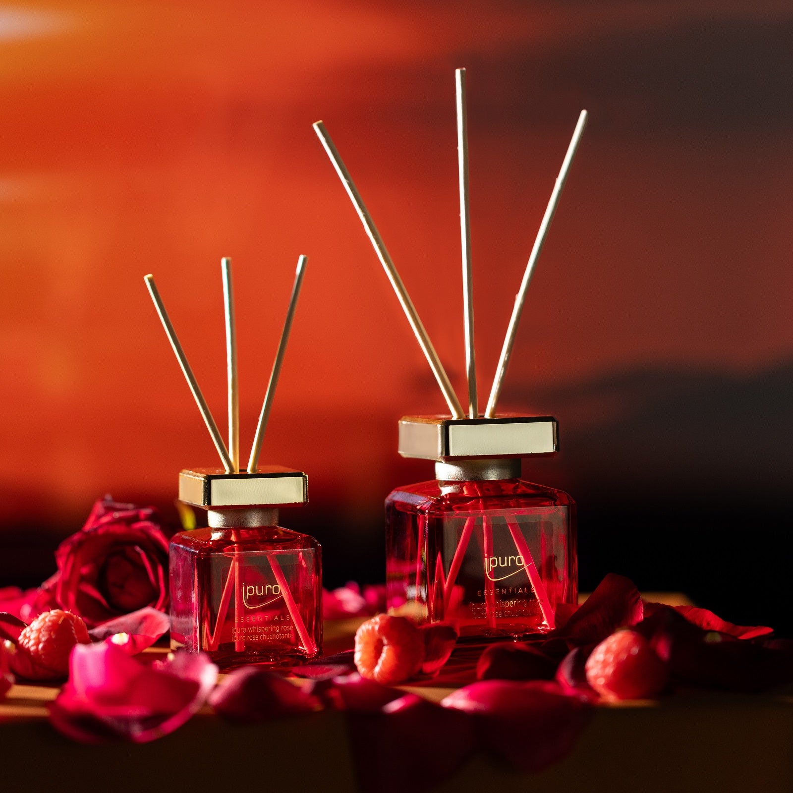 Zwei ESSENTIALS ipuro whispering rose Raumduft von ipuro im roten Glas mit goldenen Deckeln sind umgeben von Rosenblüten, Himbeeren, fruchtigen Noten und einer roten Rose vor einem warmen, verschwommenen orangefarbenen Hintergrund.