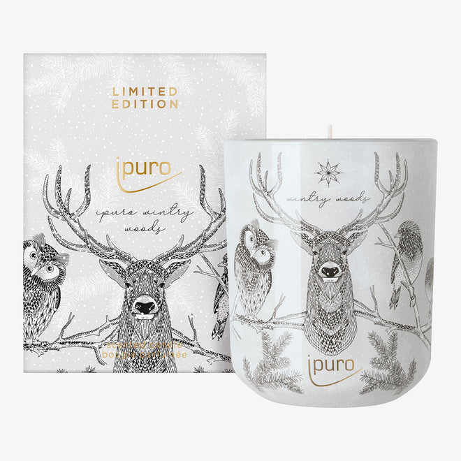 LIMITED EDITION Duftkerze Wintry Woods