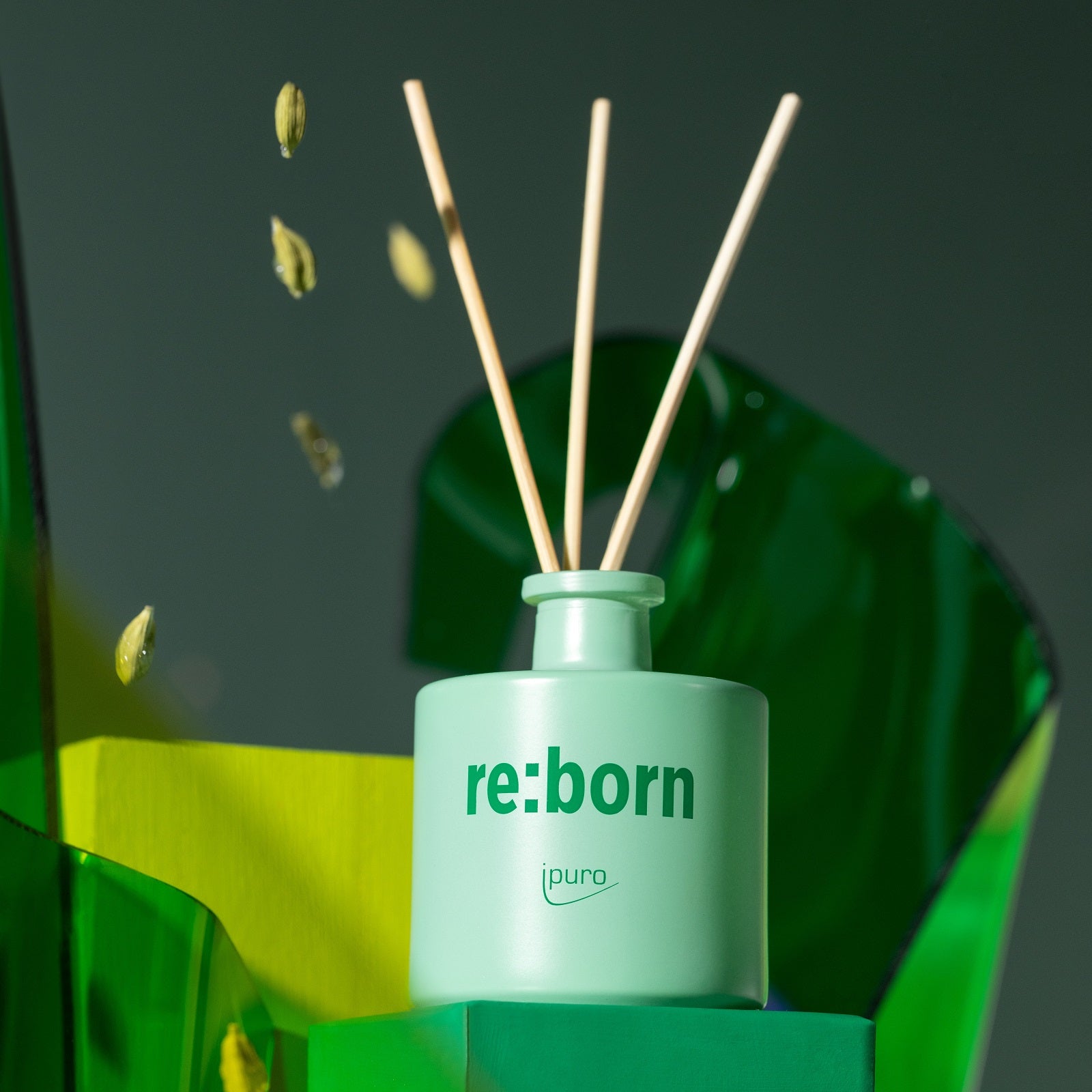 Der WE ARE: ipuro re:born Raumduft von ipuro, ein grüner Diffusor mit drei Schilfrohrstäben, steht inmitten abstrakter Formen, über denen upgecycelte Gewürzsaaten und Kardamomkapseln schweben und aromatische Noten für eine frische, lebendige Atmosphäre sorgen.
