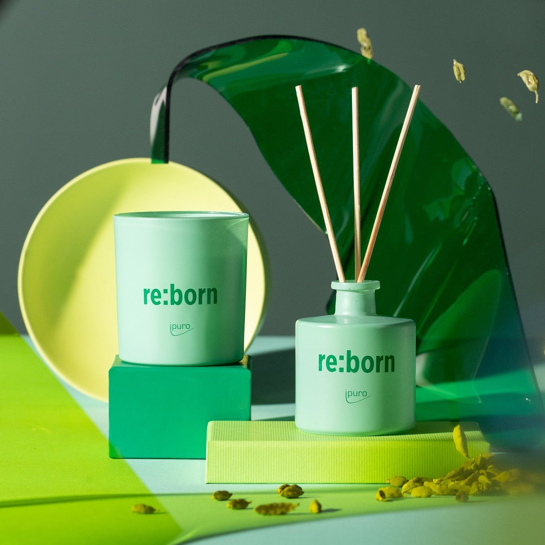 Eine stilvolle Präsentation der ipuro WE ARE: ipuro re:born Duftkerze auf pastellfarbenen Blöcken, umgeben von Blättern und Blüten, vor einem modernen grün-gelben Hintergrund. Hergestellt mit grausam-freien Zutaten.