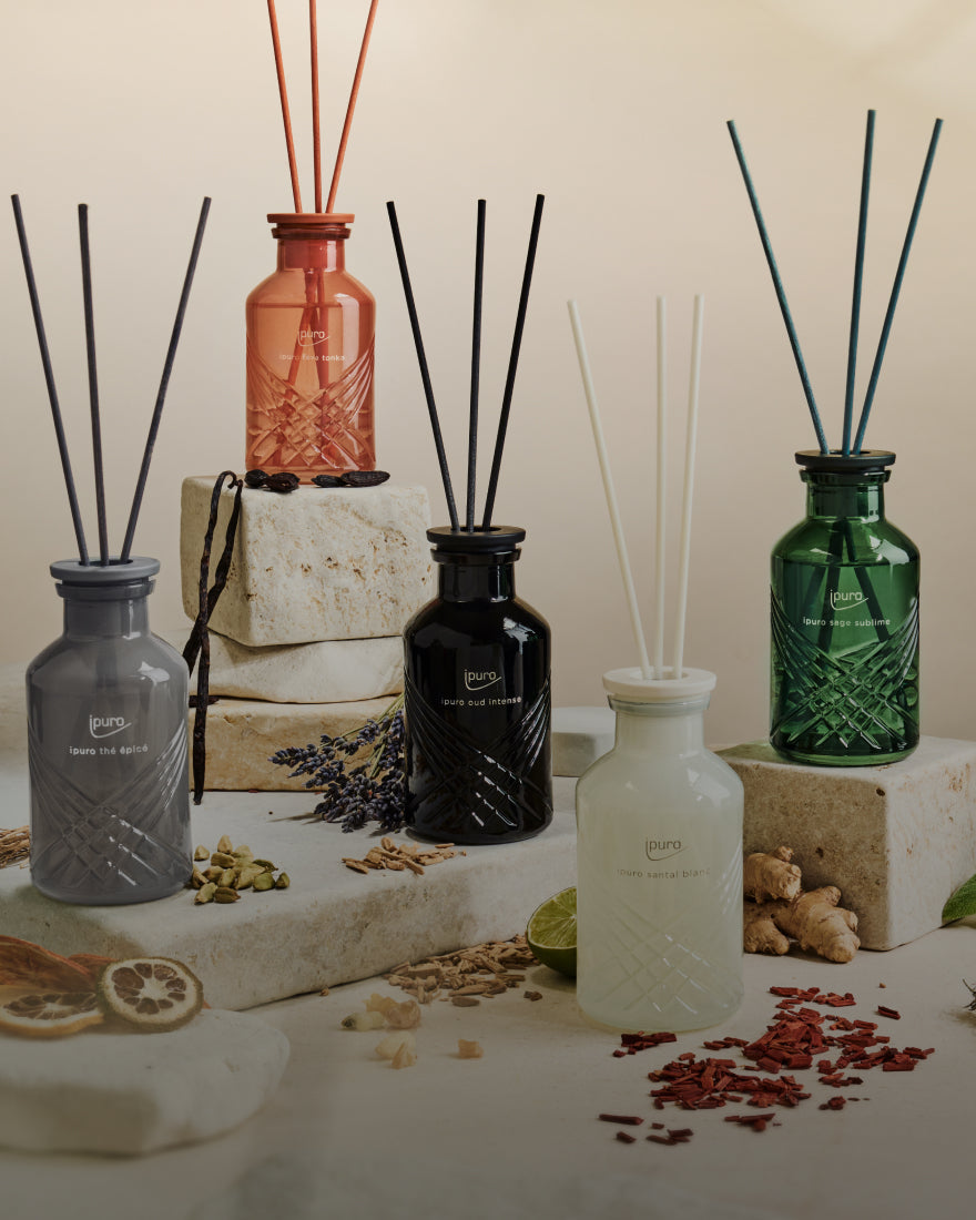 Fünf dekorative Diffusoren aus Glas in verschiedenen Farben (rot, grün, schwarz, grau und weiß) sind auf Steinblöcken angeordnet, um die herum getrocknete Pflanzen und Gewürze auf einem neutralen Hintergrund verstreut sind.