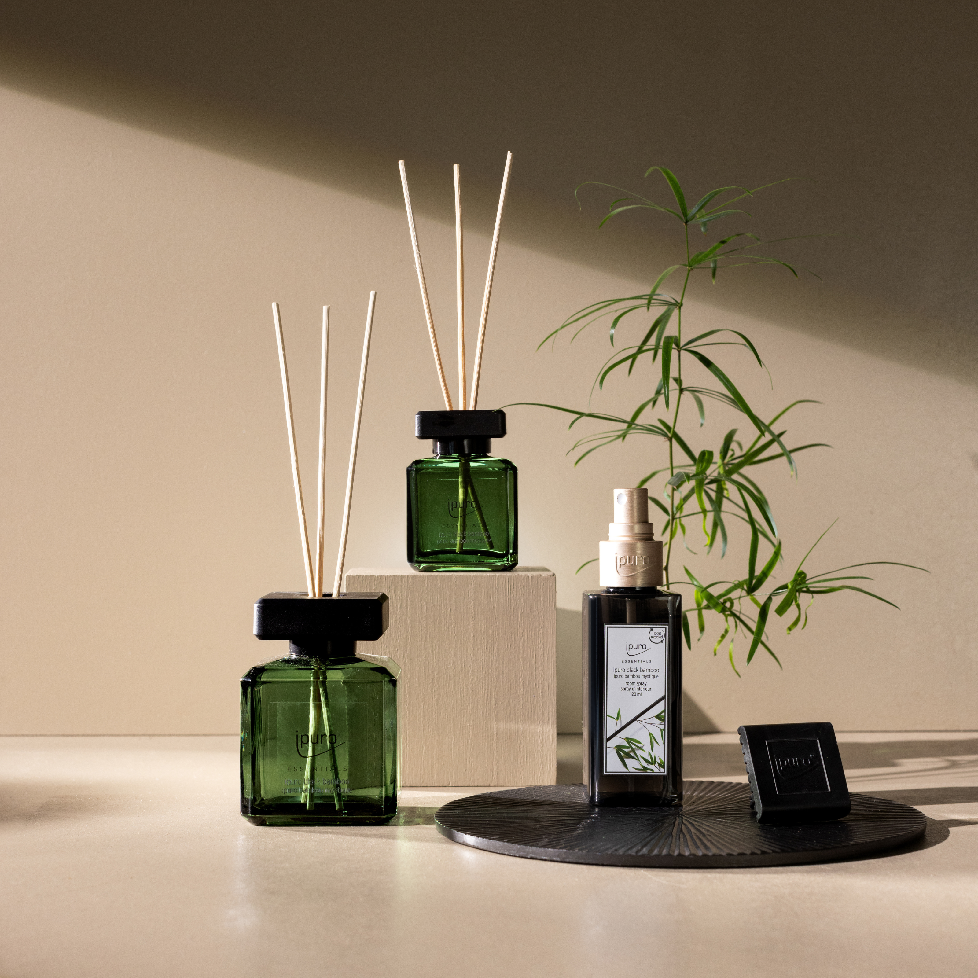 Zwei ESSENTIALS ipuro Raumduft-Diffusoren, eine Pflanze, eine Sprühflasche und eine kleine schwarze Box sind auf einer beigen Fläche mit geometrischen Stützen in weichem natürlichem Licht angeordnet.