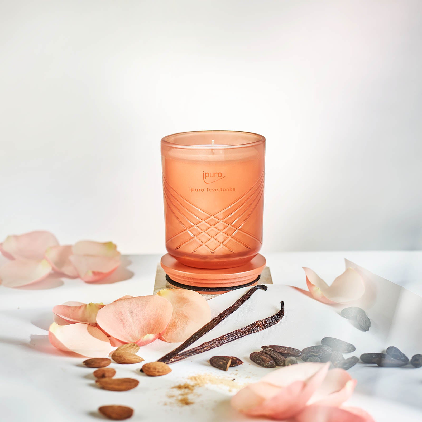 Die EXCLUSIVE ipuro fève tonka Duftkerze von ipuro in einem rosafarbenen Glas ruht auf einem Untersetzer mit Rosenblättern, Vanilleschoten, Sandelholz, Kaffeebohnen und Mandeln auf einer weißen Fläche vor einem sanften Lichthintergrund.