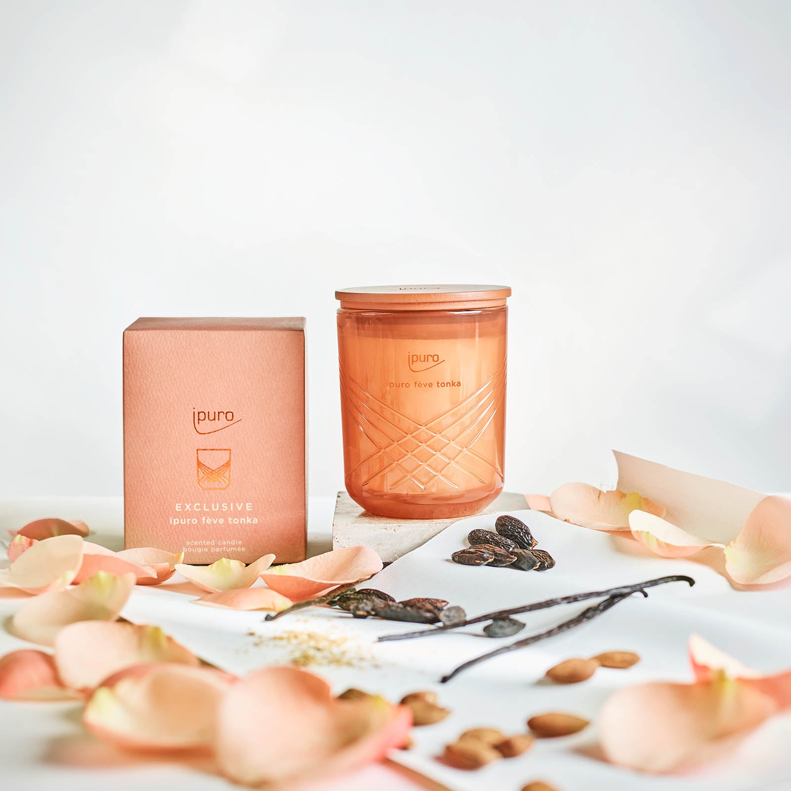 Die EXCLUSIVE ipuro fève tonka Duftkerze von ipuro wird in einem pfirsichfarbenen Glasgefäß neben der Schachtel auf einer weißen Fläche zwischen rosa Rosenblättern, Vanilleschoten, Tonkabohnen und Mandeln präsentiert.