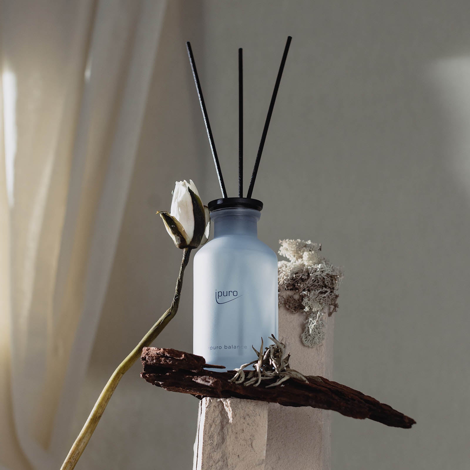 Eine blaue Glasflasche von CLASSIC ipuro balance Raumduft by ipuro ruht auf einem strukturierten Sockel mit getrockneten Blüten, Rinde und Moos, die an maritime Noten und frischen weißen Tee erinnern, vor einem sanft beleuchteten neutralen Hintergrund.