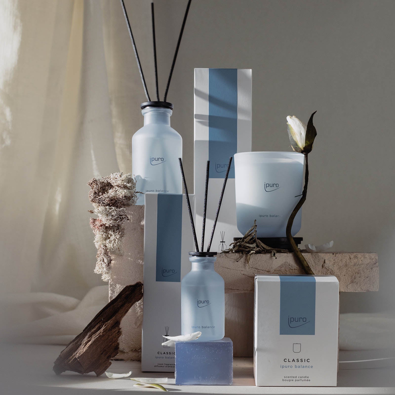 Eine Auswahl von ipuro Home Fragrances wird ausgestellt, mit dem CLASSIC ipuro balance Raumduft mit weißem Tee und maritimen Noten, einer Kerze, Dosen und Seife, elegant eingebettet zwischen getrockneten Blumen und Timberholz auf einem neutralen Hintergrund.