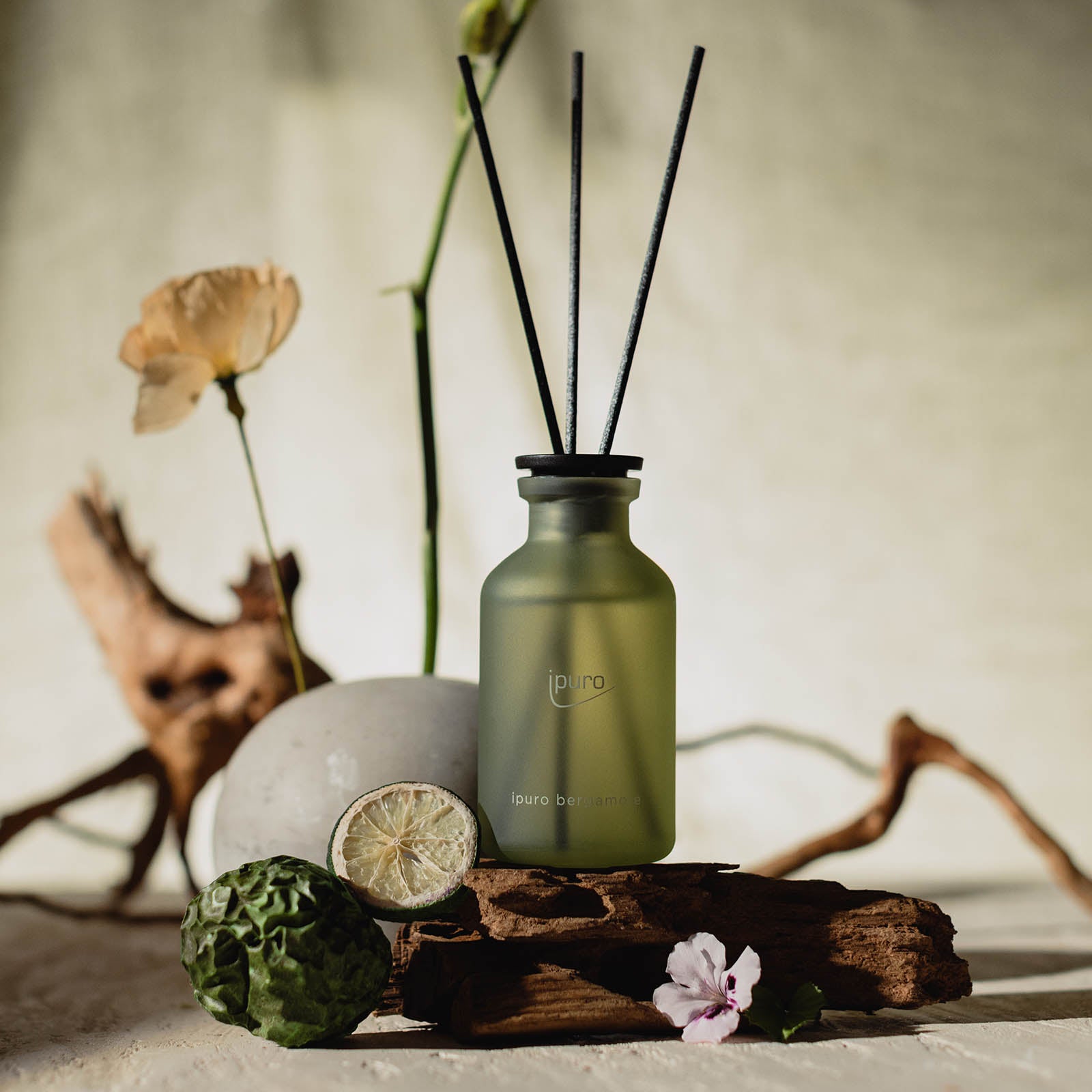 Der CLASSIC ipuro bergamote Raumduft von ipuro verfügt über einen grünen Diffusor mit schwarzen Stäbchen, der auf Holz zwischen getrockneten Blumen, geschnittenen Limetten, Zitronengras, einer Kugel und Bergamotte in sanftem Licht für asiatische Frische steht.