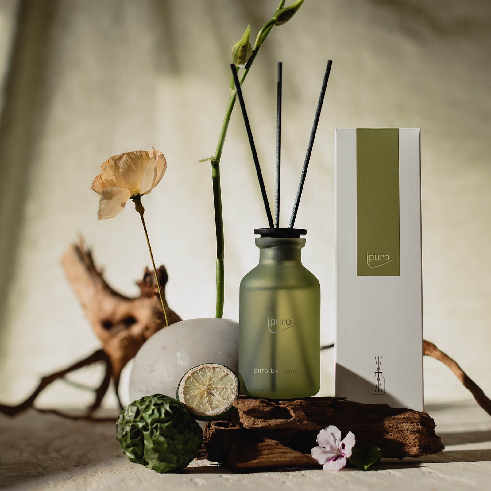 Der CLASSIC ipuro bergamote Raumduft von ipuro, in einer grünen Milchglasflasche mit schwarzem Stäbchen und weißer Verpackung, wird von Limette, Zitronengras, Holz und einer Mohnblume für eine Atmosphäre asiatischer Frische umrahmt.