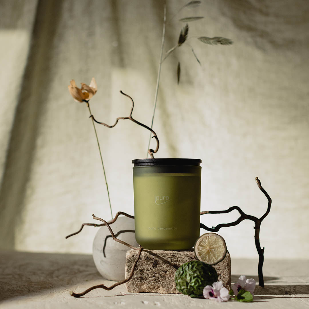 Die Duftkerze CLASSIC ipuro bergamote von ipuro mit schwarzem Deckel steht auf strukturiertem Stein neben Zitronengras, grüner Limette, einer Artischocke, violetten Blumen und einer hellgrauen Vase mit einer Trockenblume.