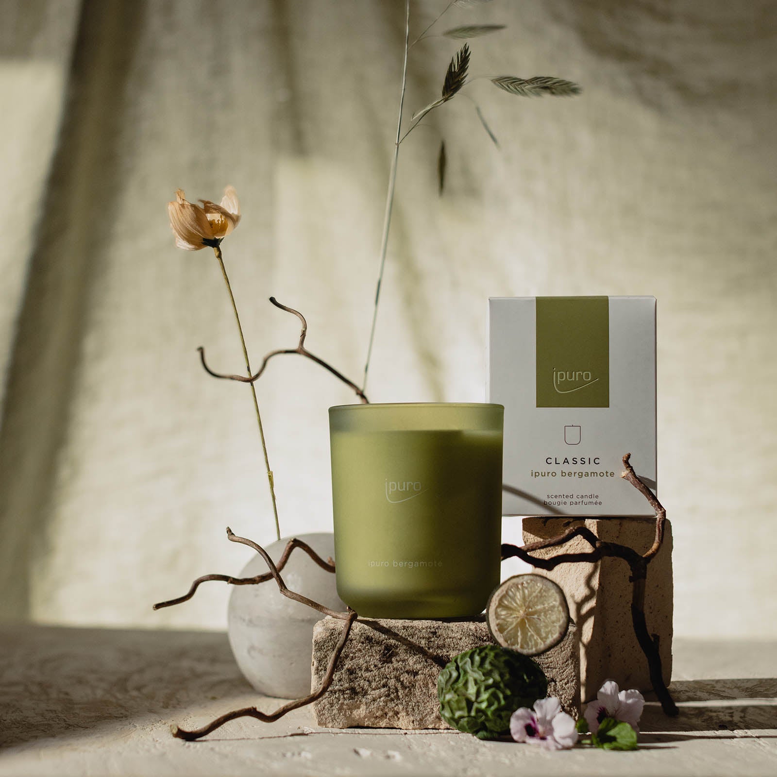 Die CLASSIC ipuro bergamote Duftkerze von ipuro steht vor ihrer Box, umrahmt von grünen Limetten, Zitronengras, Zweigen, Blumen und einem strukturierten beigen Stoff. Licht und Schatten evozieren eine ruhige Stimmung mit asiatischer Frische.