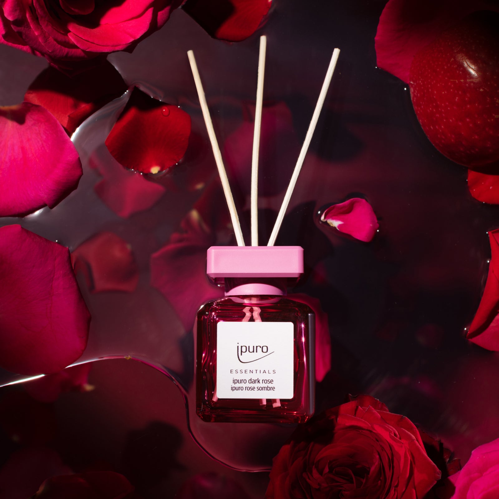 Ein rosafarbener Flakon von ESSENTIALS ipuro dark rose by ipuro mit drei Schilfrohren sitzt inmitten von Rosenblättern und Blumen auf einem dunklen Hintergrund und erzeugt mit seinem blumigen Rosenduft einen dramatischen, romantischen Effekt.