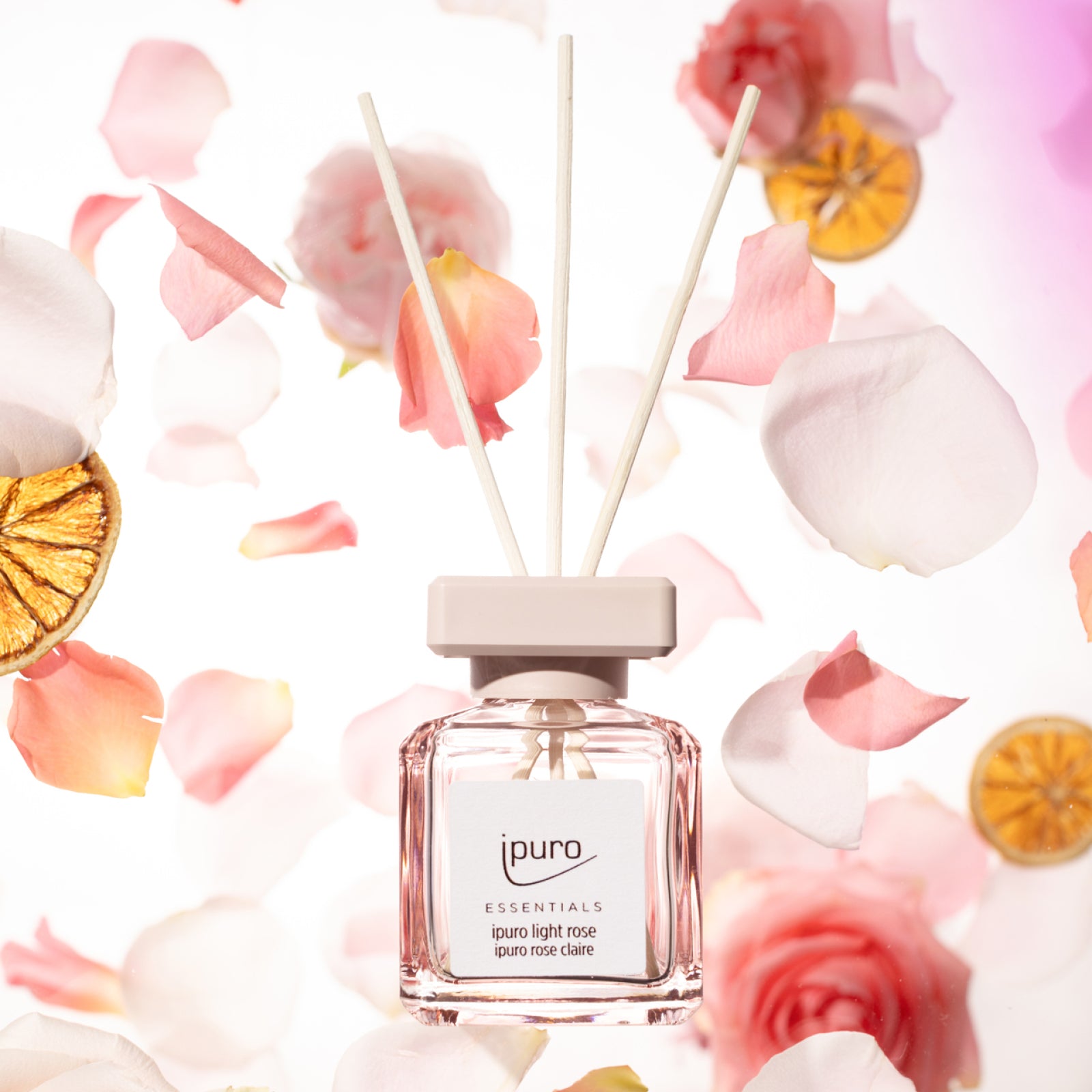 Das ESSENTIALS ipuro light rose & pure rose Raumduft-Set von ipuro besteht aus einem zartrosa Glasdiffusor mit Schilfrohrstäbchen, umgeben von schwebenden Rosenblättern und getrockneten Orangenscheiben, vor einem weichen, hellen Hintergrund.