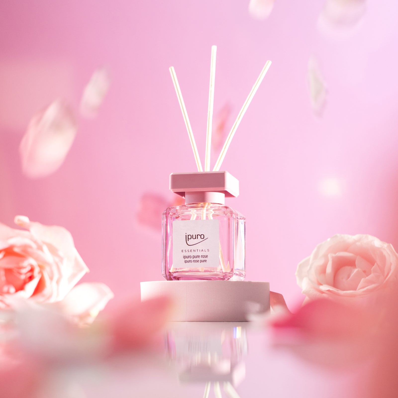 Ein rosafarbener ESSENTIALS ipuro Pure Rose Diffusor aus Glas mit weißem Schilf steht auf einem weißen Podest, umgeben von rosafarbenen Rosen und Blütenblättern vor einem zartrosa Hintergrund. Das Etikett zeigt die Marke ipuro und verweist auf frische Mandarinen-Noten.