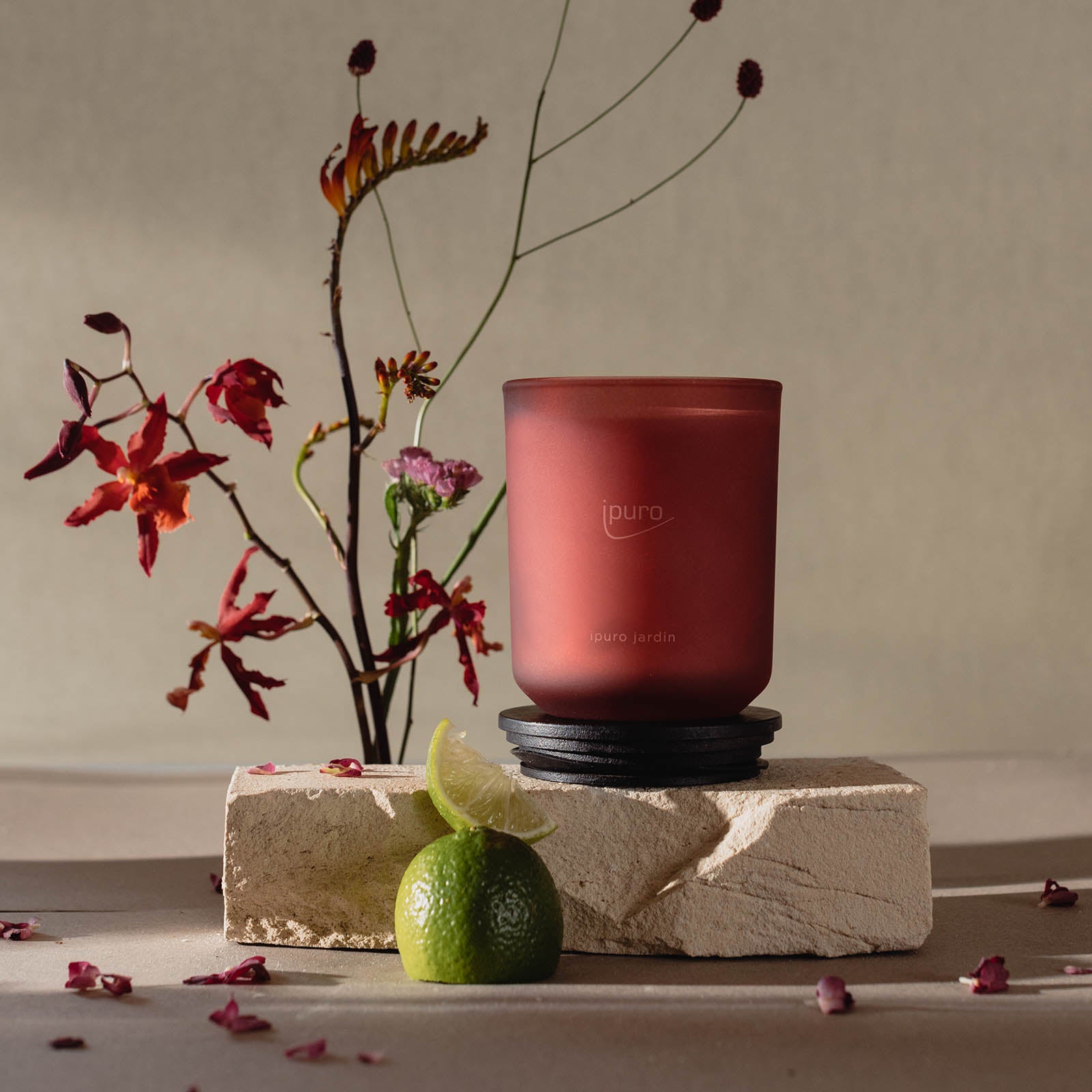 Die CLASSIC ipuro jardin Duftkerze von ipuro, im Glashalter, steht auf einer Steinplatte mit einer Limette und einem Keil davor, umgeben von zarten exotischen Blumen und verstreuten roten Blütenblättern.