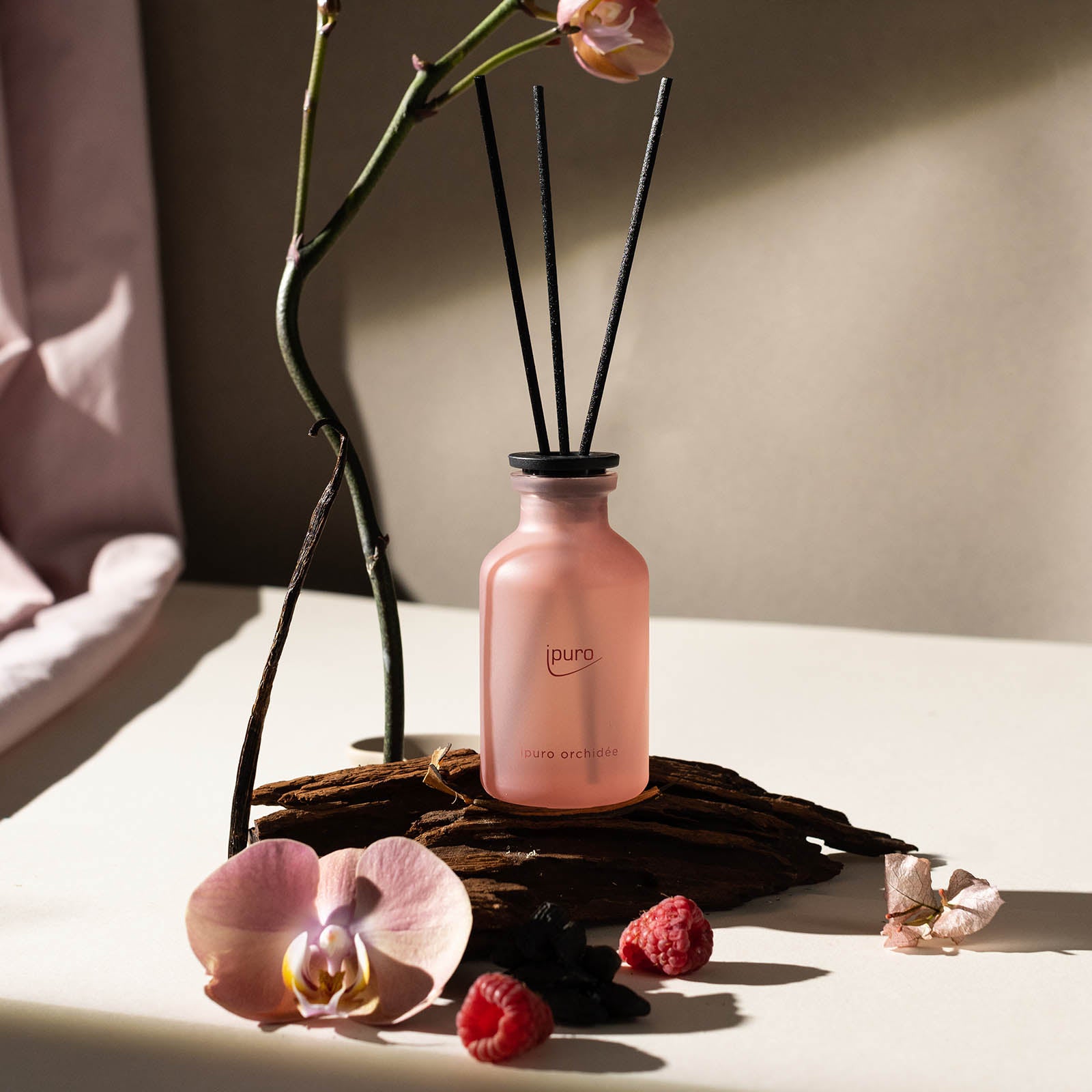 Der CLASSIC ipuro orchidée Raumduft von ipuro, ein rosafarbener Diffusor mit schwarzen Stäbchen, ruht auf einer weißen Fläche inmitten von Pfirsichblüte, Himbeeren, getrocknetem Holz und einem Orchideenstängel, während sanftes Sonnenlicht sanfte Schatten erzeugt.