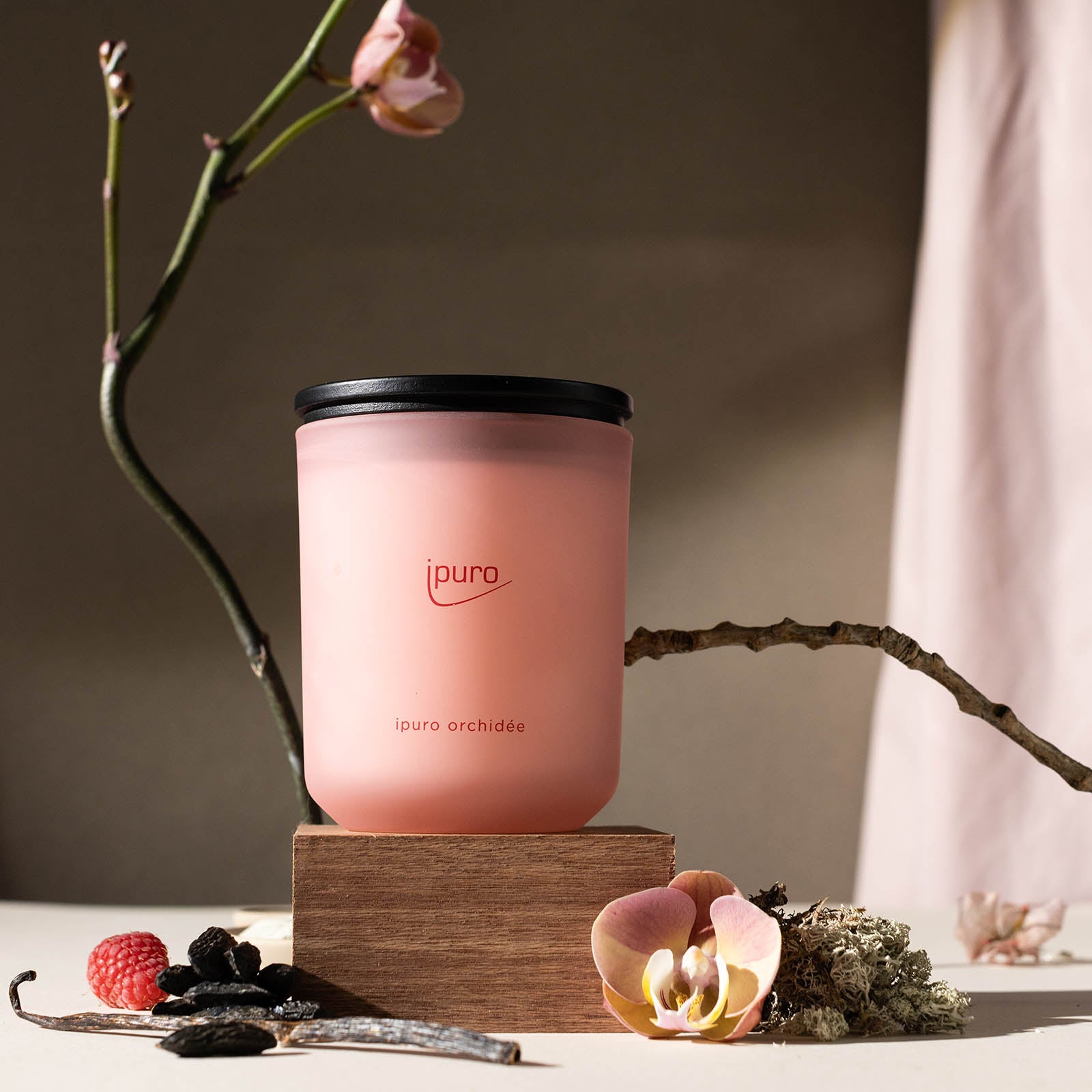 Die CLASSIC ipuro orchidée Duftkerze von ipuro ruht auf einem Holzblock, umgeben von einer rosafarbenen Blume, Moos, Zweigen und Noten von Maiglöckchen. Ein verschwommener Zweig und eine Blume erscheinen im Hintergrund.