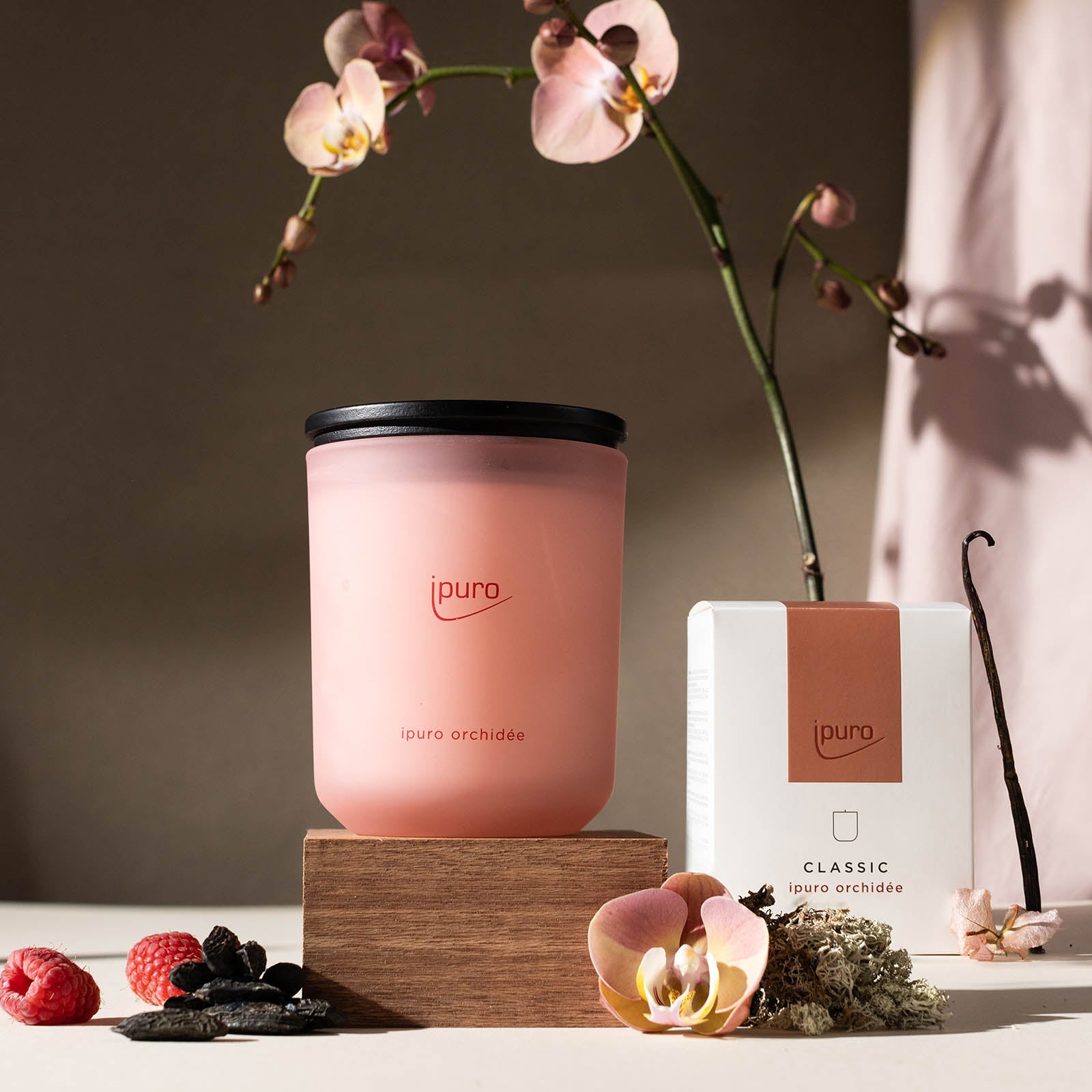 Eine CLASSIC ipuro orchidée Duftkerze von ipuro steht auf einem Holzblock neben ihrer Schachtel, umgeben von Orchideen, Beeren, Pfirsich und Vanille mit einem blühenden Zweig im sanften Sonnenlicht.