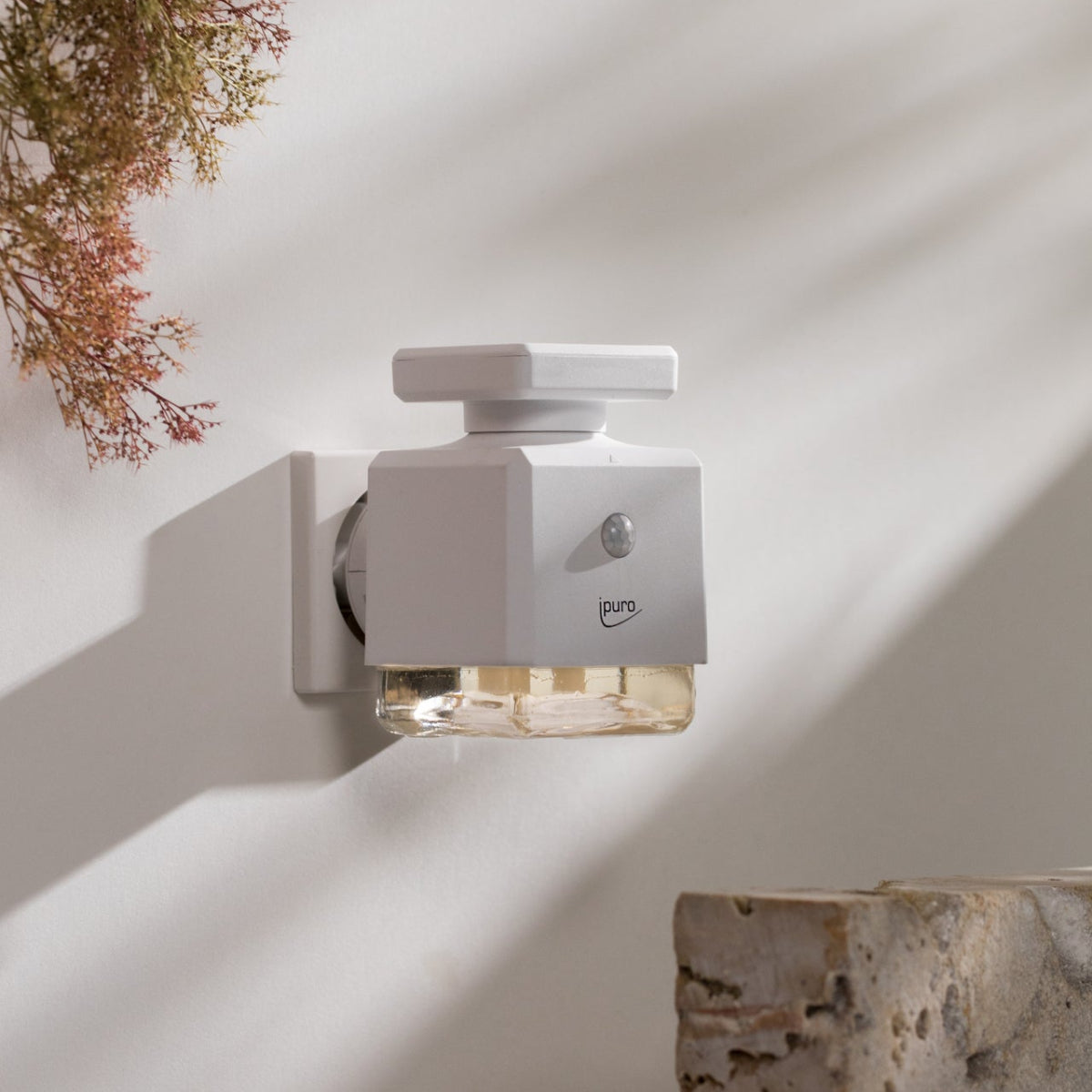 Ein weißer ipuro ESSENTIALS Duftstecker mit transparentem Sockel ist an der Wand befestigt, das Sonnenlicht wirft Schatten in der Nähe, und getrocknetes Laub hängt oben links - ideal für ein duftendes Zuhause.