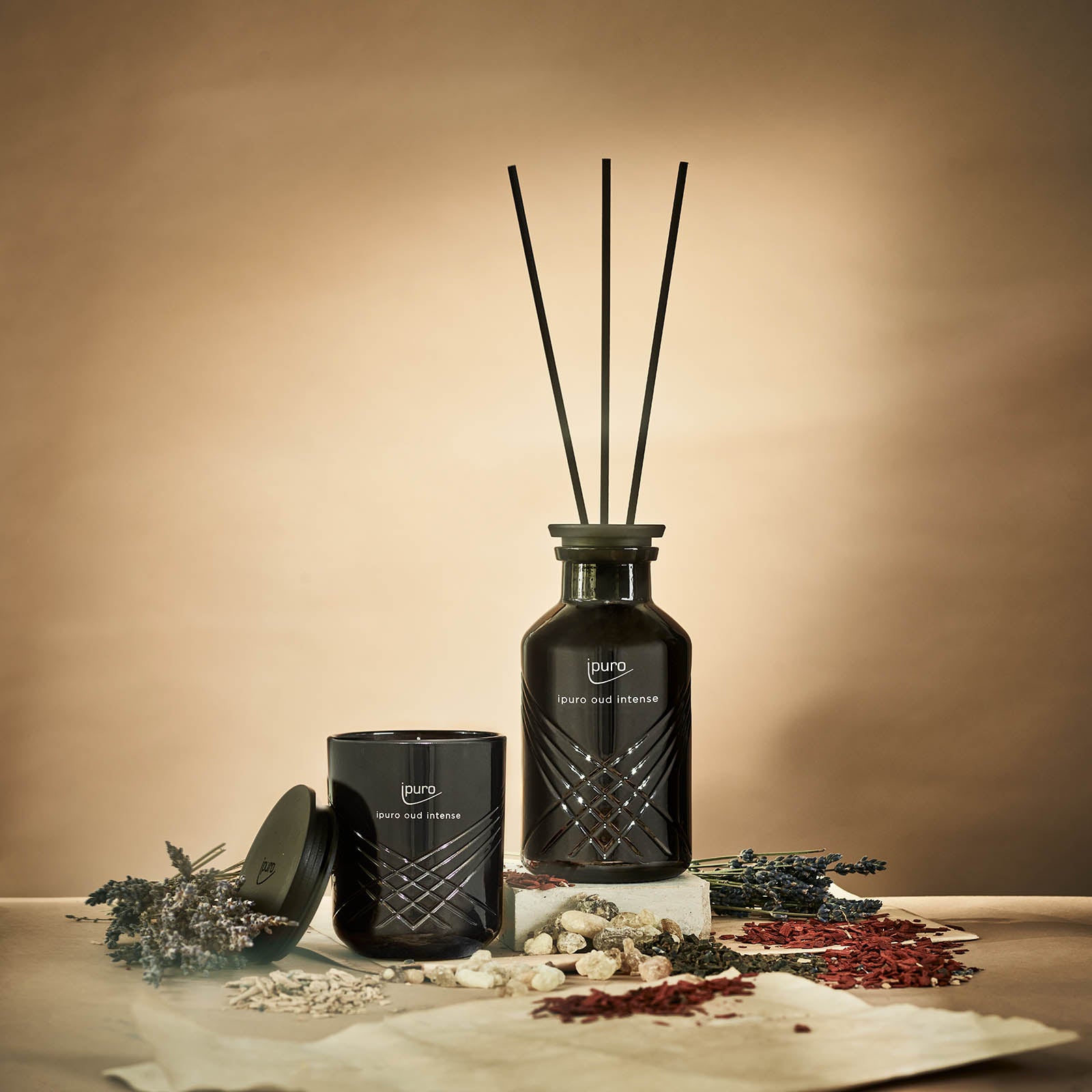 Zwei dunkle Glasbehälter mit der Aufschrift ipuro EXCLUSIVE oud intense, eine Kerze und ein Schilfrohrdiffusor mit schwarzen Stäbchen, sind von getrockneten Pflanzen und Kieselsteinen auf einem beigen Hintergrund umgeben.