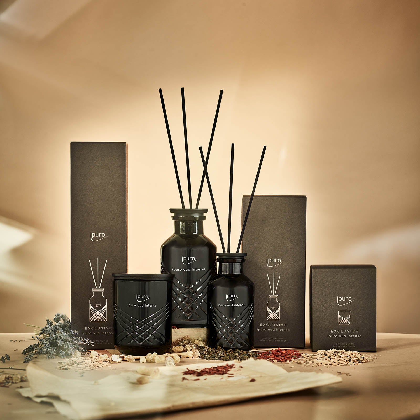 Der EXCLUSIVE ipuro oud intense Raumduft von ipuro bietet luxuriöse schwarze Duftkerzen mit Sandelholz- und Oud-Noten, die in einer minimalistischen Verpackung auf einer beigen Oberfläche mit getrockneten Blumen vor einem warmen, weichen Hintergrund präsentiert werden.