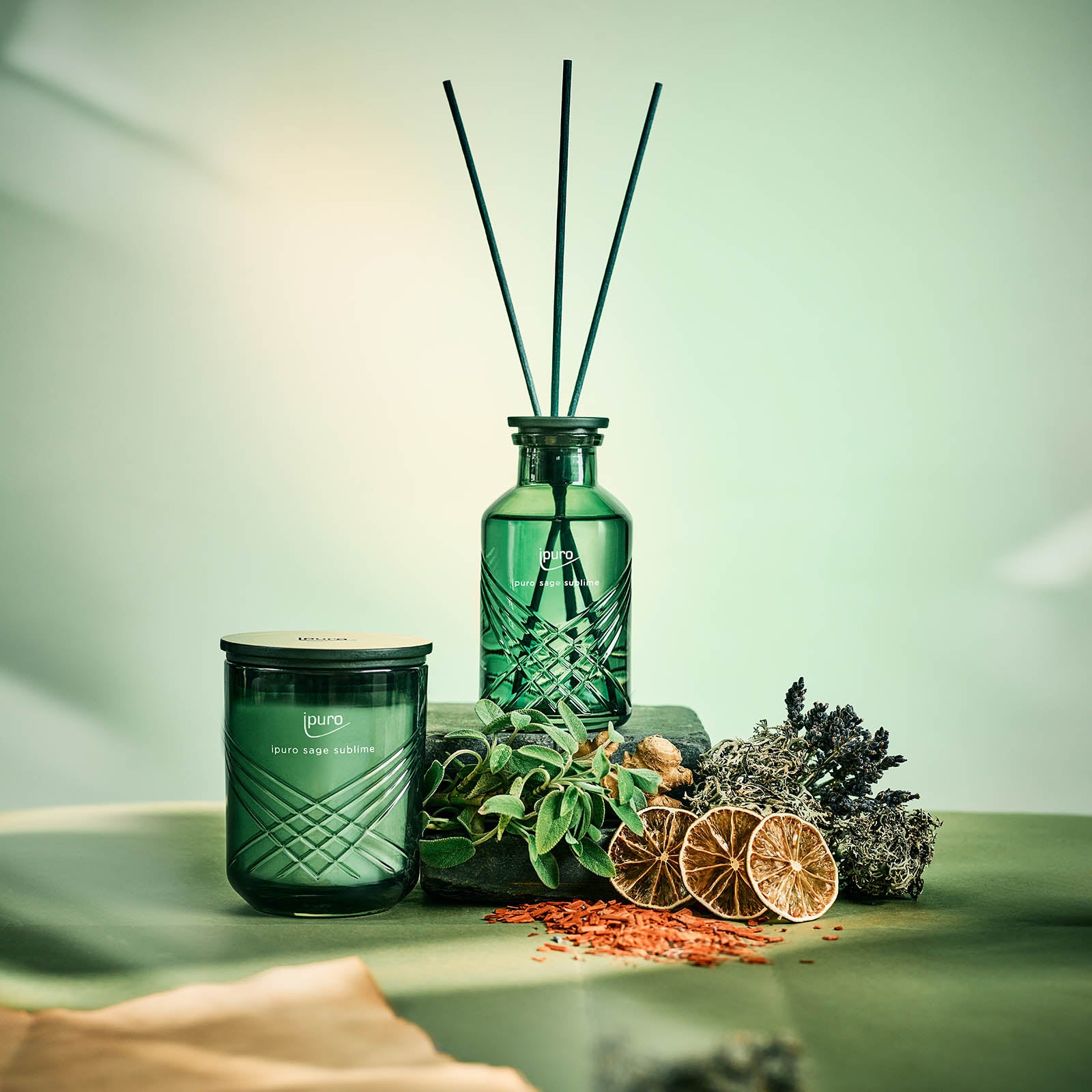 Das EXCLUSIVE ipuro salbei sublim Raumduft von ipuro liegt auf einer grünen Fläche mit getrockneten Zitrusfrüchten, Lavendel, Salbei, Kräutern und Moos und schafft ein natürliches und beruhigendes Ambiente mit sanfter Beleuchtung.