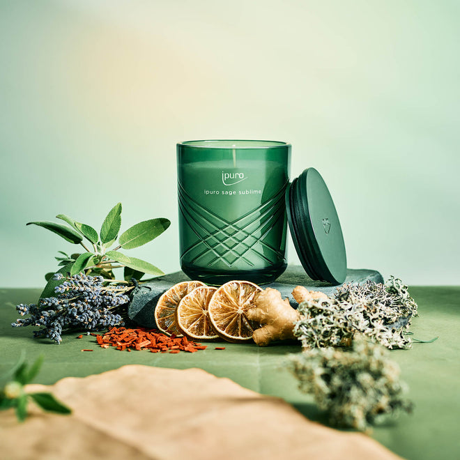 Exclusive Duftkerze sage sublime