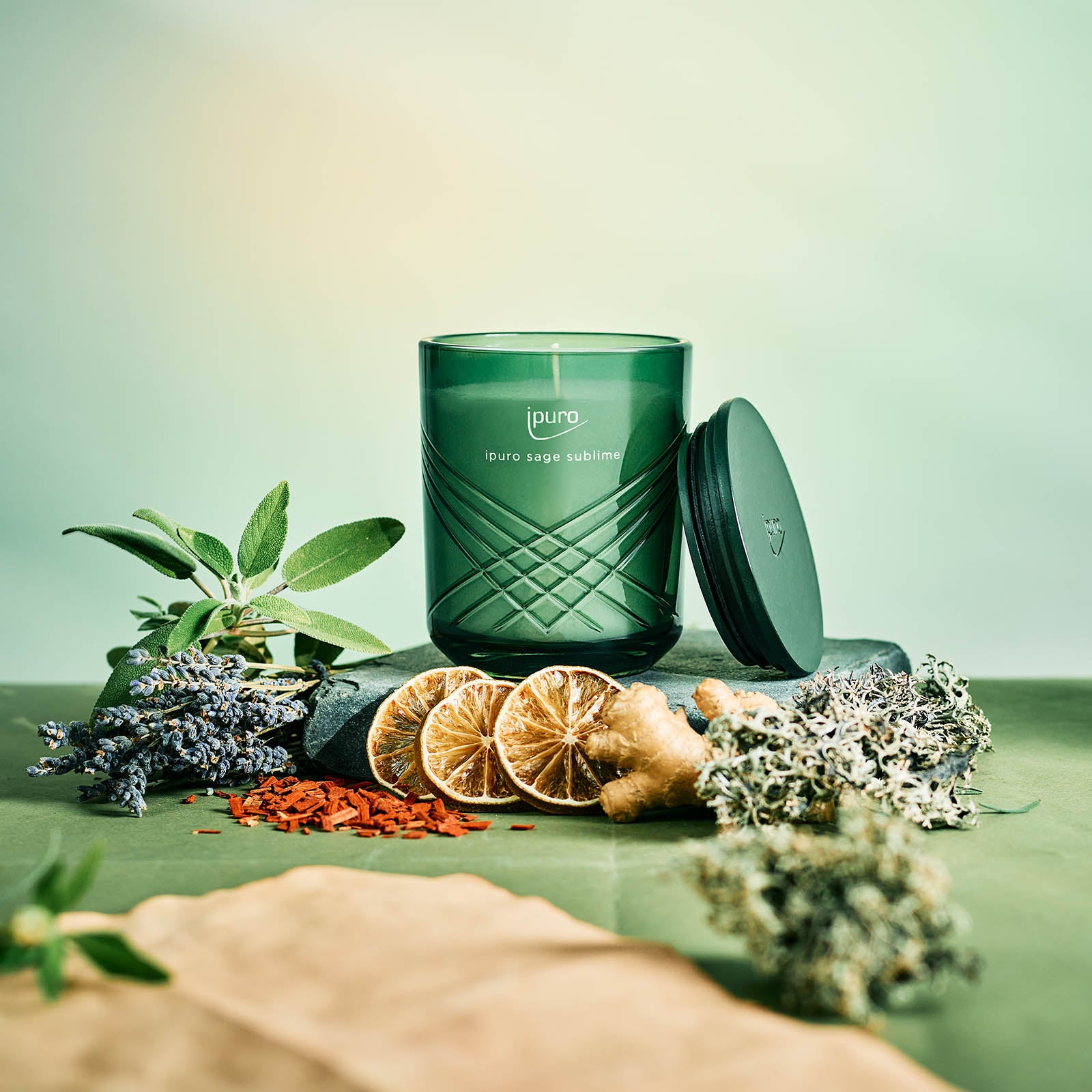 Die EXCLUSIVE ipuro salbei sublime Duftkerze von ipuro steht mit schiefem Deckel, umgeben von Salbeiblättern, getrockneten Orangenscheiben, Ingwer, Lavendel, Sandelholz und Botanicals auf einer grünen Fläche.