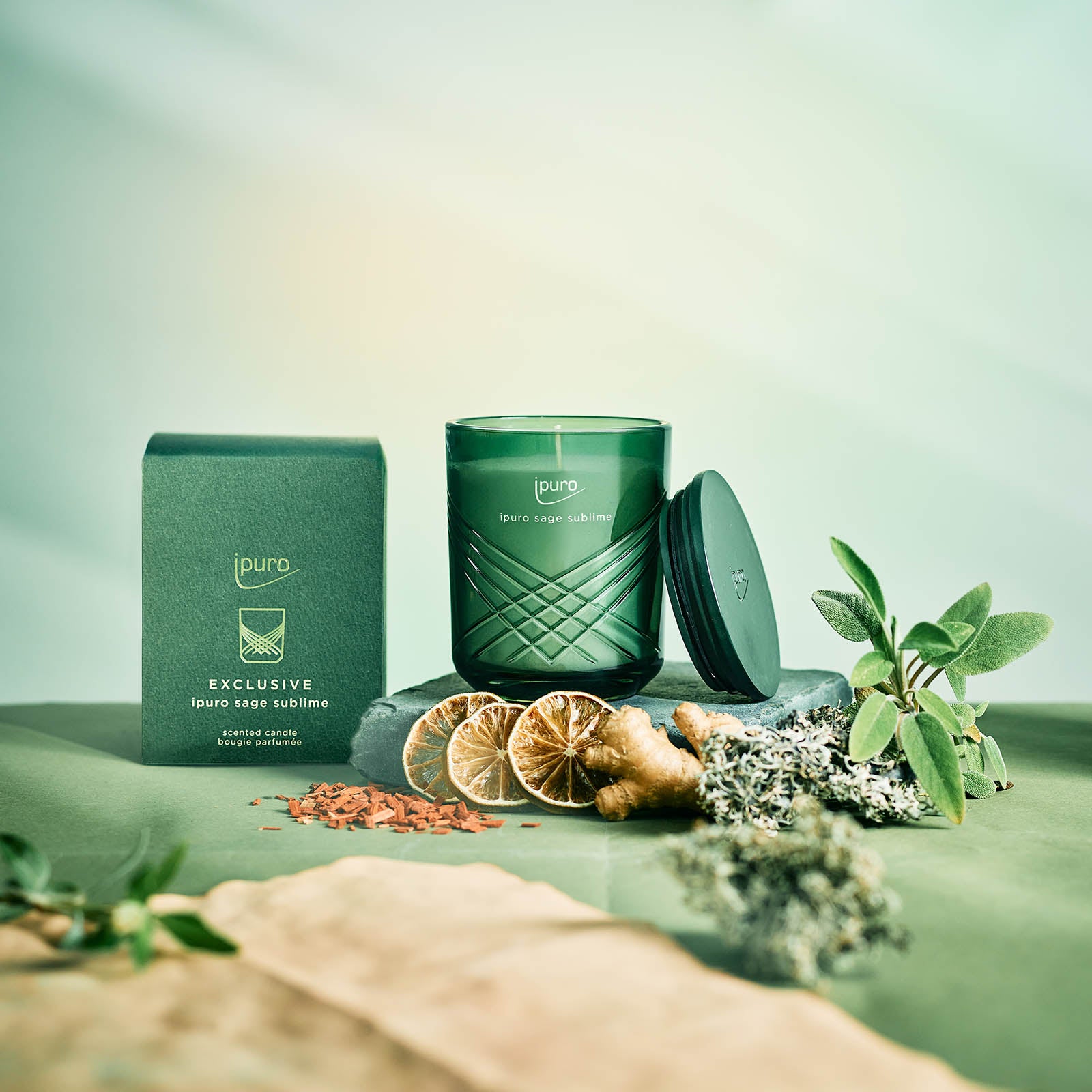 Die EXCLUSIVE ipuro salbei sublime Duftkerze von ipuro mit passender Box ruht auf einer grünen Fläche inmitten von getrockneten Zitrusscheiben, Salbeiblättern, Holzspänen, Lavendel und anderen natürlichen Botanicals.