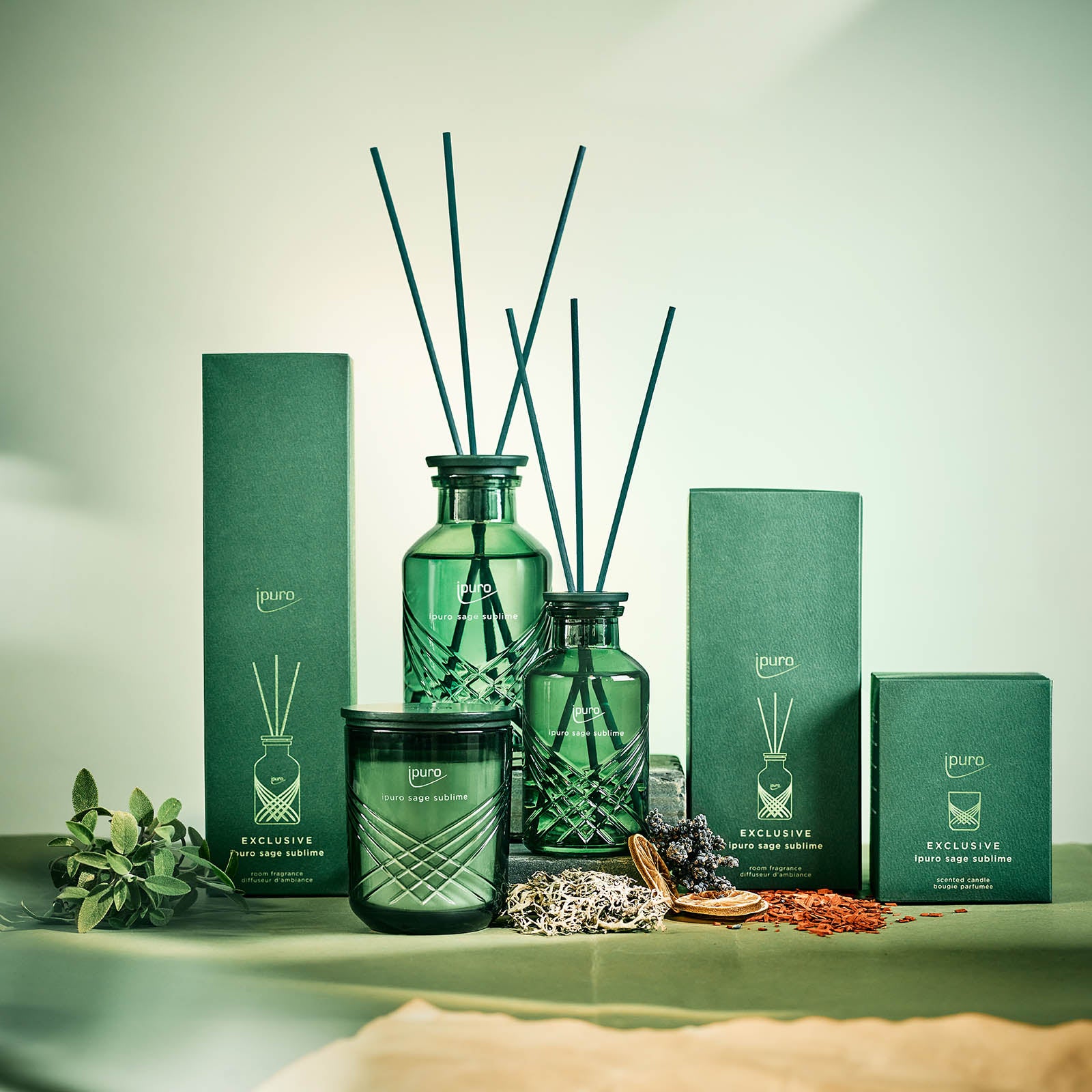 Das EXCLUSIVE ipuro salbei sublime Raumduft von ipuro wird zusammen mit einer Kerze und passenden grünen Dosen auf einem Tisch mit dekorativen Pflanzen und einem zartgrünen Hintergrund in Szene gesetzt.