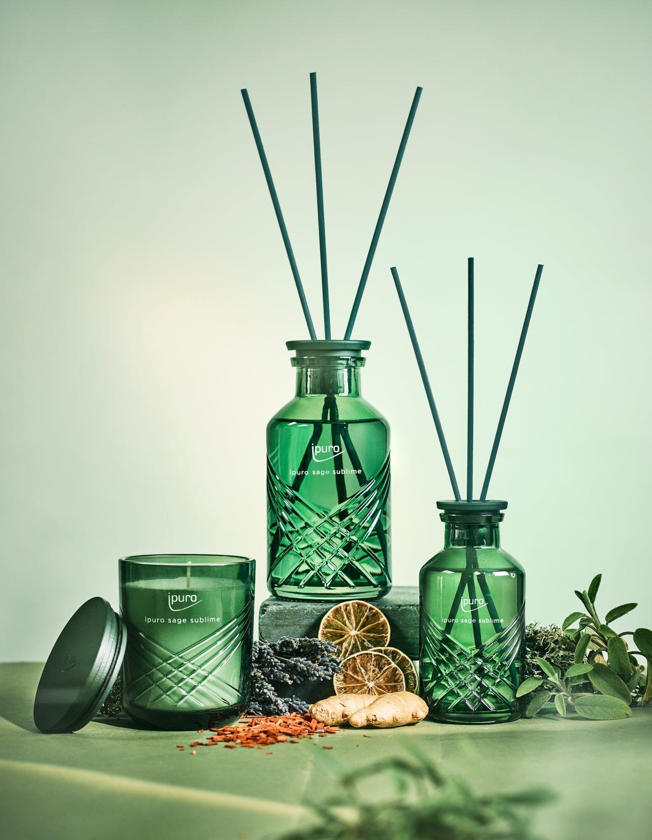 Drei grüne Glasduftdiffusoren und eine passende Kerze werden mit getrockneten Zitrusfrüchten, Ingwer, Brombeeren und Kräutern vor einem zartgrünen Hintergrund präsentiert, der eine frische, botanische Ästhetik erzeugt.