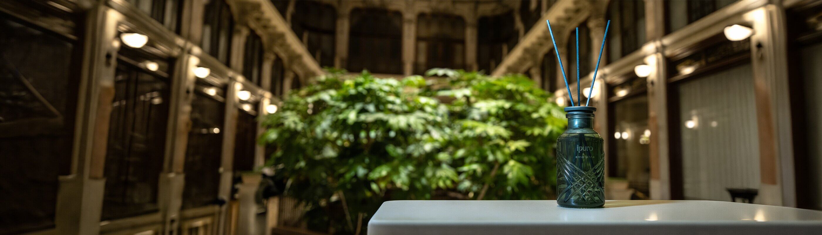 Ein grüner Glasdiffusor mit Schilfrohrstäbchen steht auf einer weißen Fläche in einem Innenraum, mit unscharfen Pflanzen und verschnörkelter Architektur im Hintergrund, beleuchtet von warmem Licht.