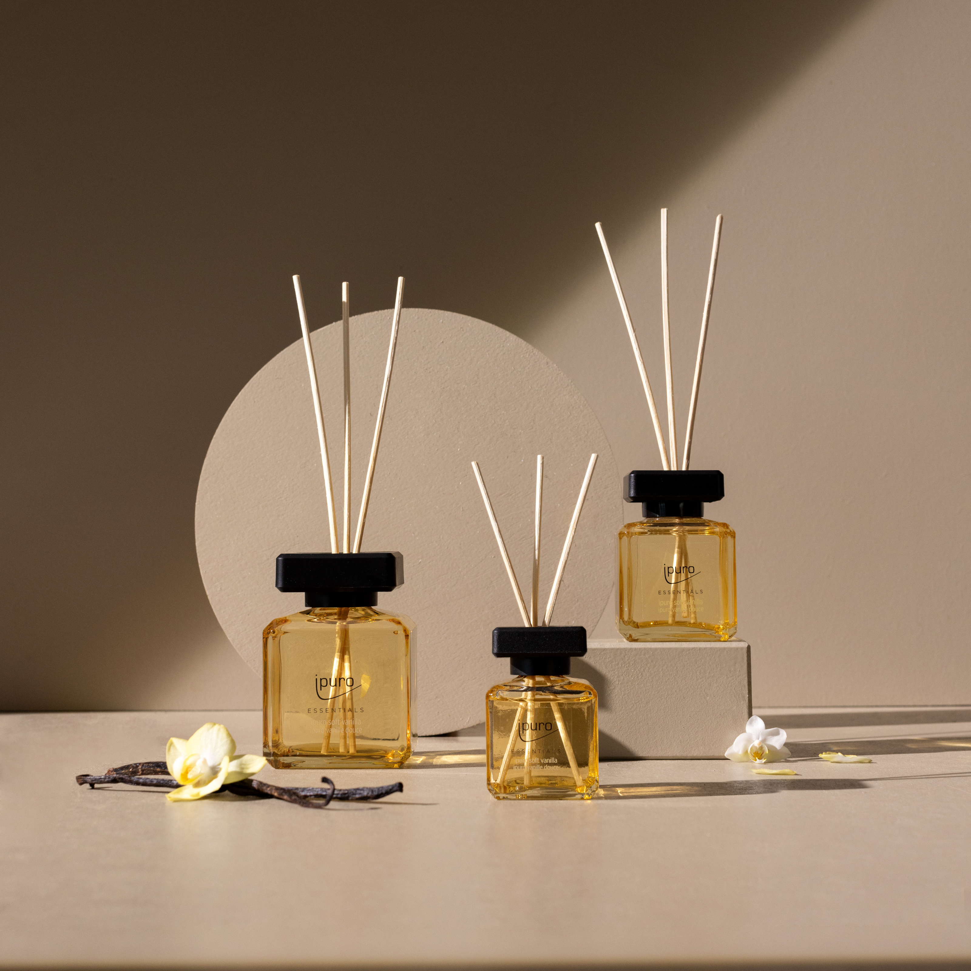 Drei ESSENTIALS ipuro soft vanilla Raumduft-Set von ipuro mit schwarzen Kappen stehen auf beigen Podesten inmitten von weißen Blumen und Stöcken. Der warme Duft von Vanille und Sandelholz schafft eine gemütliche Atmosphäre vor einem neutralen Hintergrund.