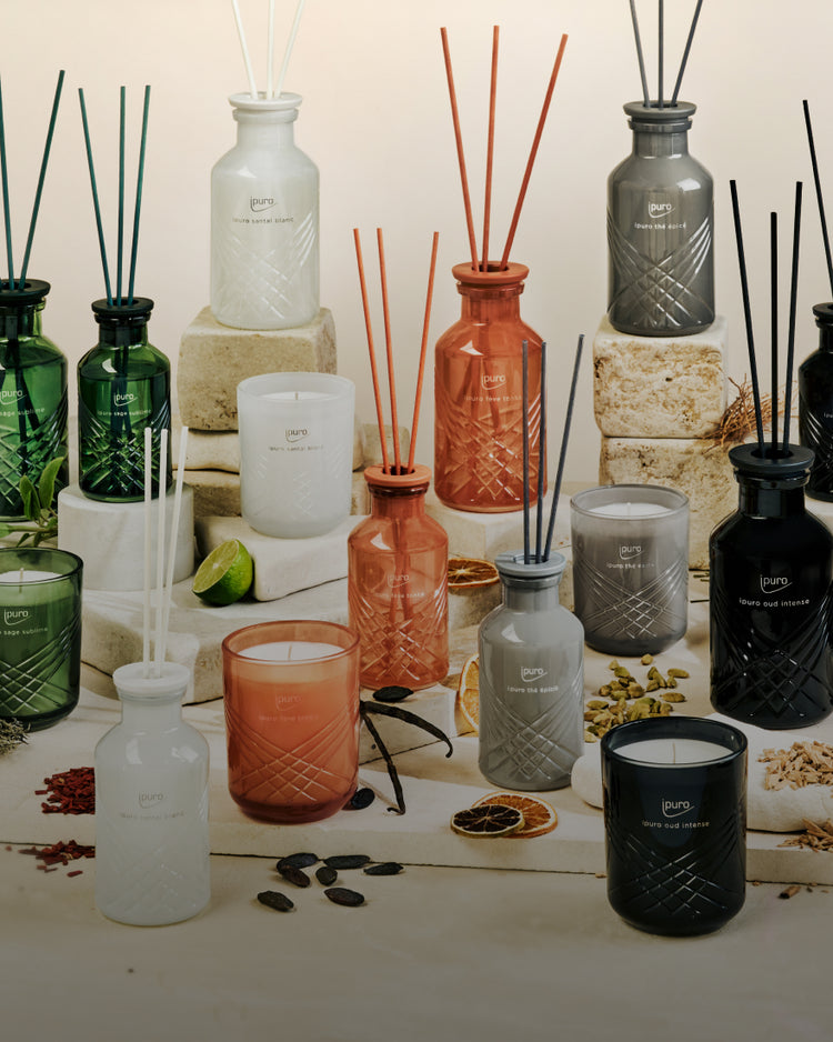 ipuro Essentials Scented Stick Set mit Vase Black online bestellen