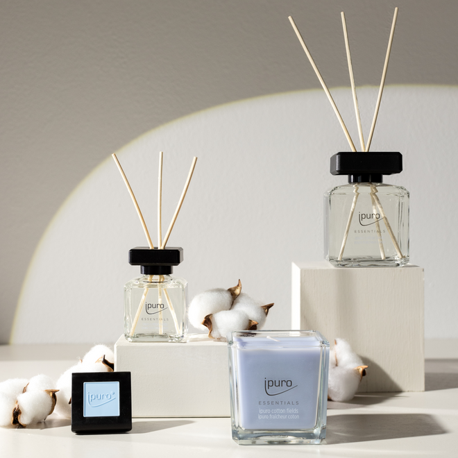 Bougie parfumée champs de coton ipuro ESSENTIALS