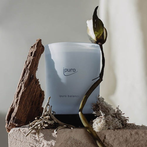 CLASSIC ipuro balance scented candle