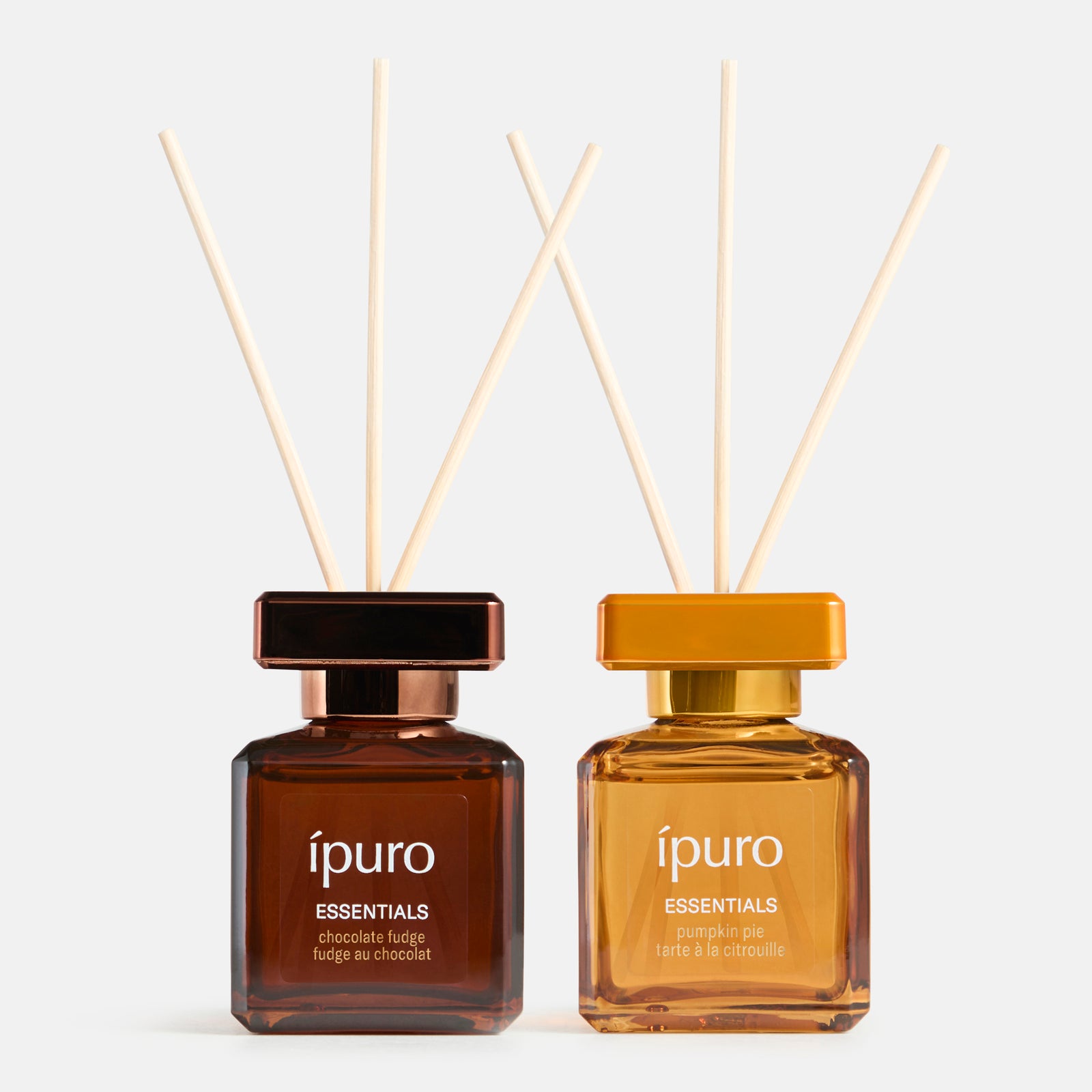 Coffret cadeau ipuro tarte à la citrouille et fondant au chocolat