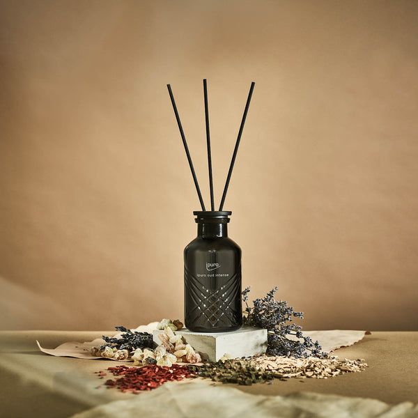 EXCLUSIVE ipuro oud intense Raumduft 
