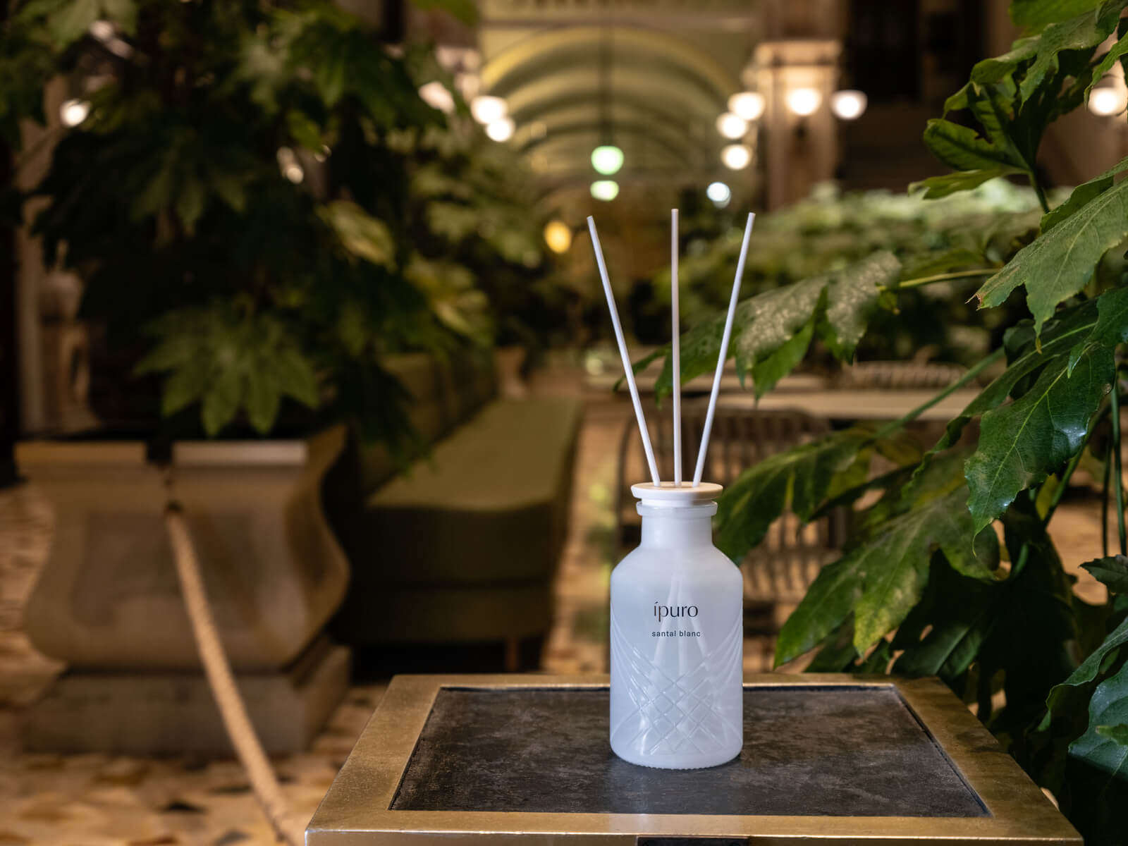 Ein Ipuro-Schilfrohrdiffusor aus Milchglas steht auf einem Tisch, umgeben von üppigen grünen Pflanzen in einem gut beleuchteten, eleganten Innenraum mit verschwommenen Lichtern und Sitzgelegenheiten im Hintergrund.
